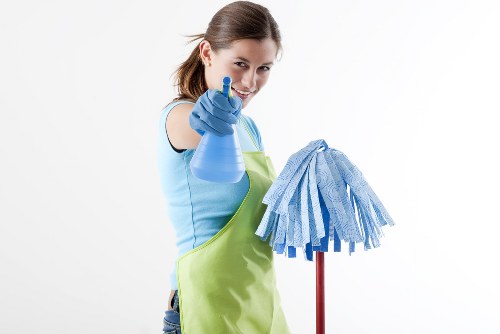 Carpet cleaning team using sustainable waste sorting in Tottenham