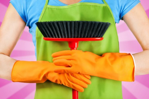 Odour removal and fabric care for sofa cleaning in Tottenham Green