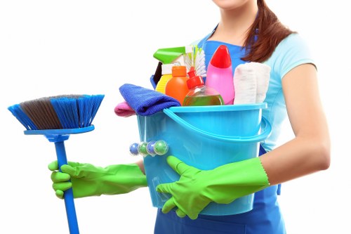 Dust and stain removal from curtains in Tottenham Green home