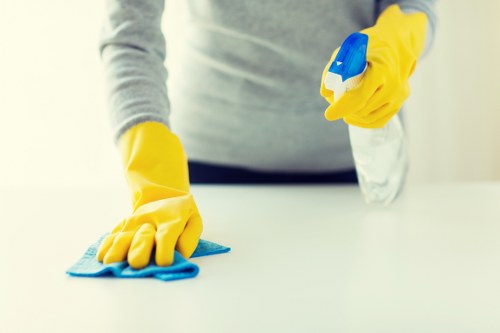 Professional upholstery cleaning in a Tottenham Green living room