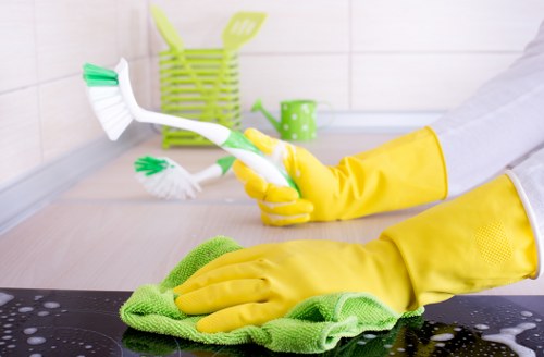 Recycling separation and sustainability practices for Tottenham cleaning services