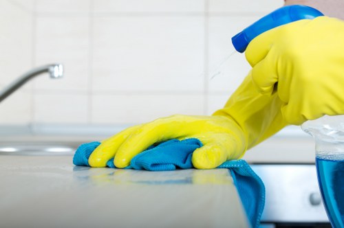 Professional steam cleaning of a carpeted floor
