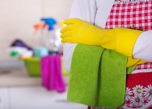 Removing stubborn pet odours from upholstery in Tottenham Green