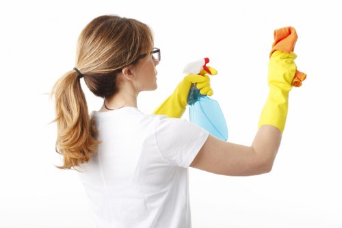 Free quote explanation for a multi-storey Tottenham Green maisonette carpet cleaning