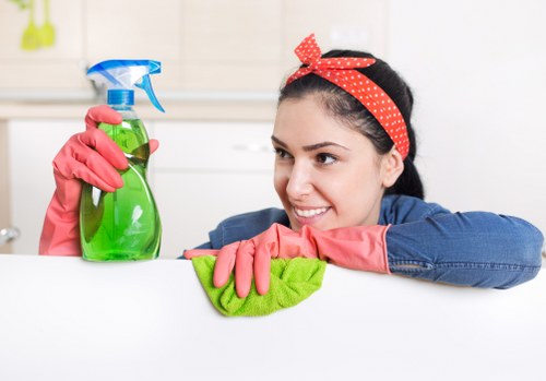 Deep mattress cleaning process for a home in Tottenham Green