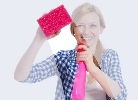 Tottenham Green carpet cleaner assessing a room before cleaning