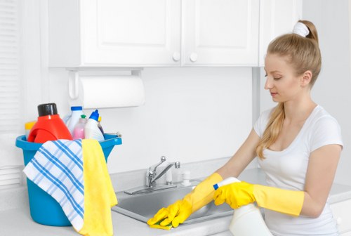 Tottenham Green carpet cleaners using modern equipment for deep cleaning results